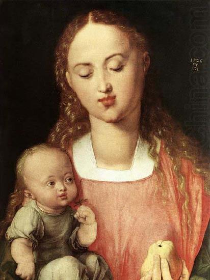 Madonna and Child with the Pear, Albrecht Durer